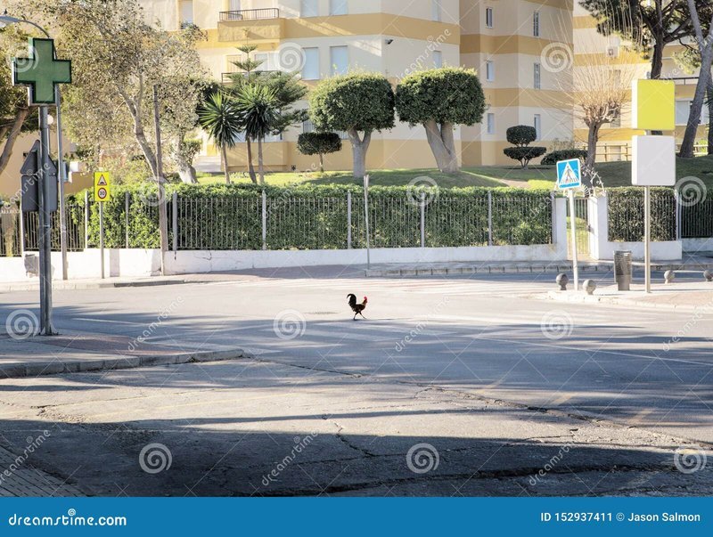 Image: Descubre el Mágico Mundo de Chicken Road en las Salas de Casino de España Image: Descubre el Mágico Mundo de Chicken Road en las Salas de Casino de España